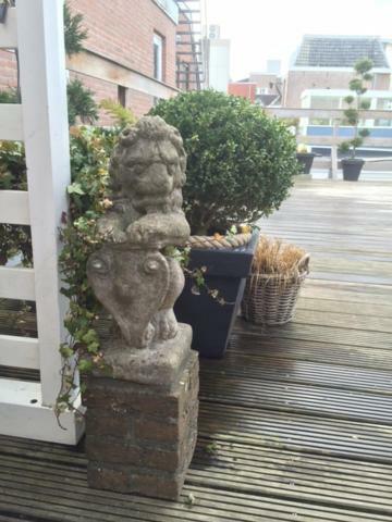 Appartement Roofterrace Alkmaar
